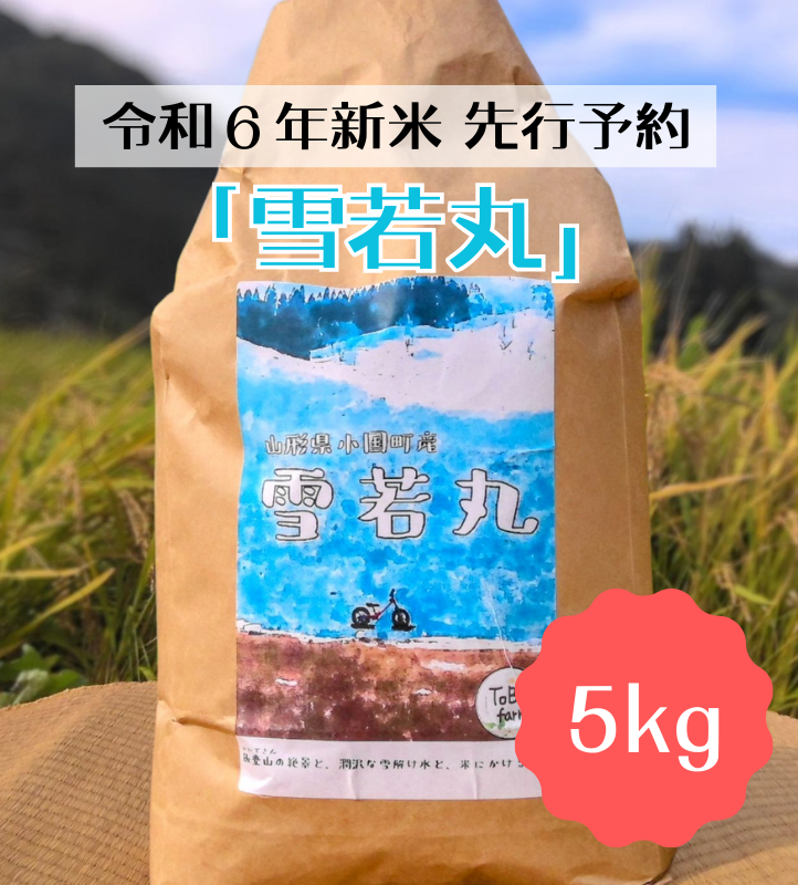 【数量限定・予約販売】小国のお米【雪若丸】5kg/東部開発